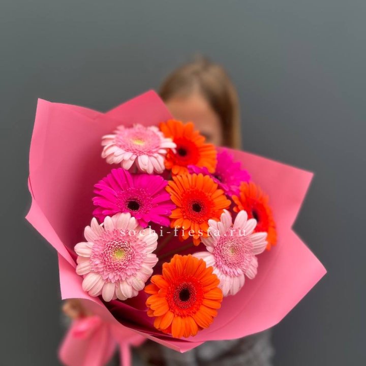 Краски в Нижнем Новгороде