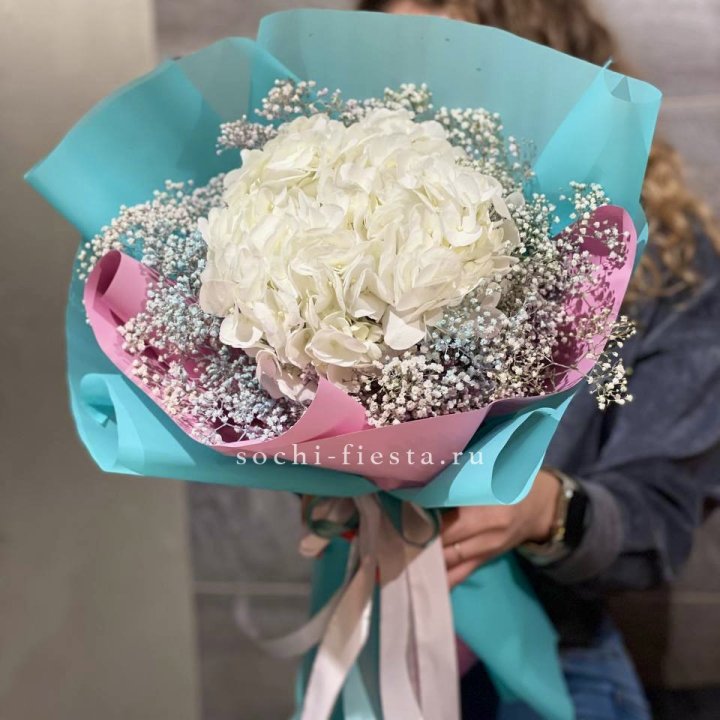 Гортензия "Райдов" в Нижнем Новгороде