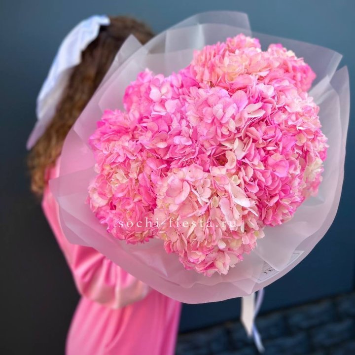 7 ярко розовых гортензий в Нижнем Новгороде