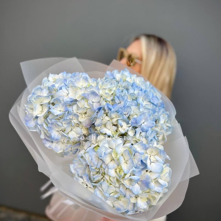 Букет из 3 голубых гортензий  в Нижнем Новгороде