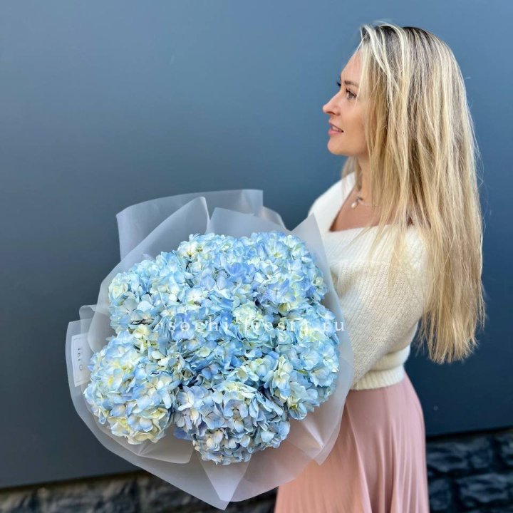 7 голубых гортензий в Нижнем Новгороде