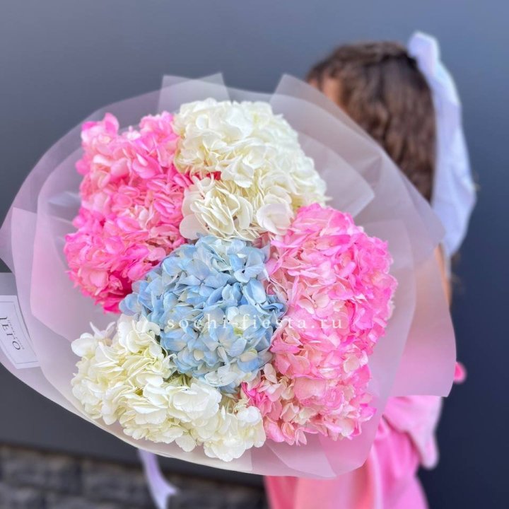 7 гортензий микс в Нижнем Новгороде