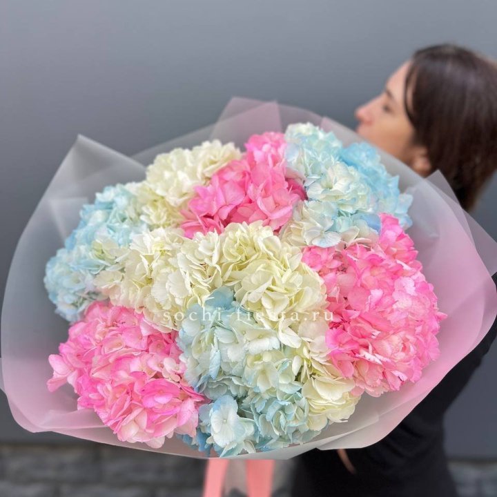 9 гортензий микс в Нижнем Новгороде