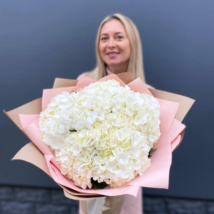 Гортензия белая в Нижнем Новгороде