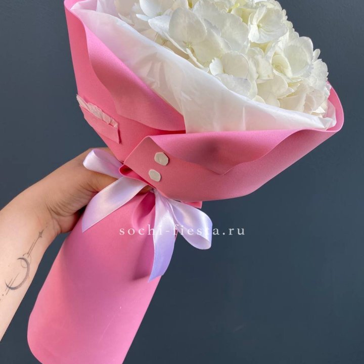 Гортензия в розовом пиджаке в Нижнем Новгороде