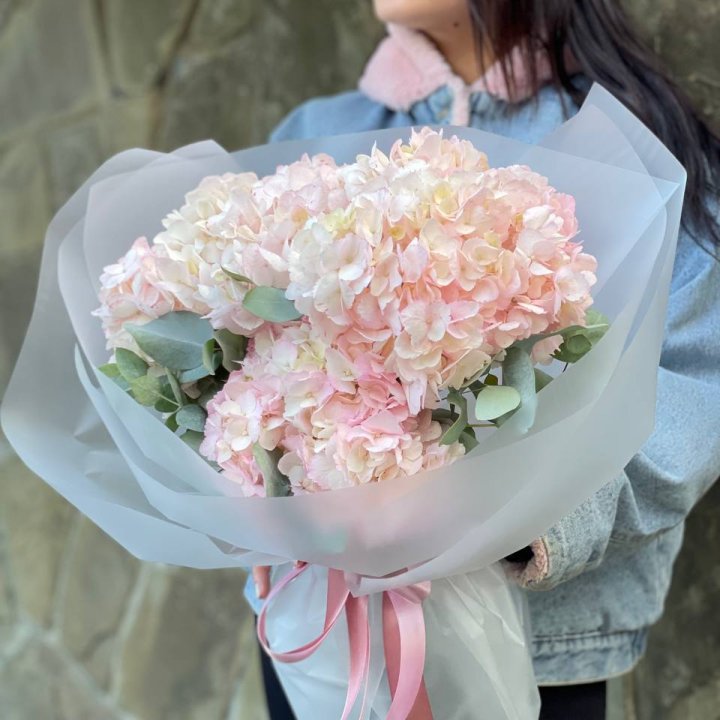 5 розовых гортензий в Нижнем Новгороде