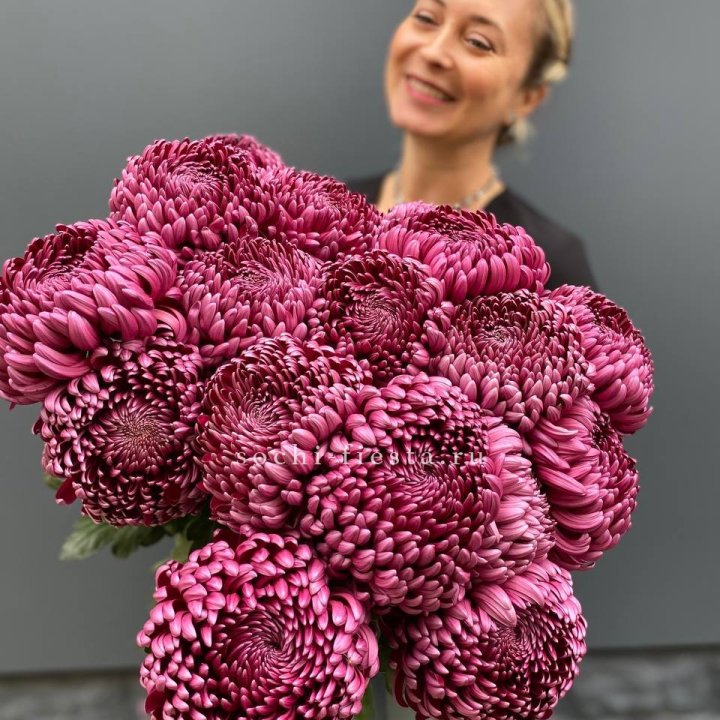 Охапка хризантем Бигуди в Нижнем Новгороде