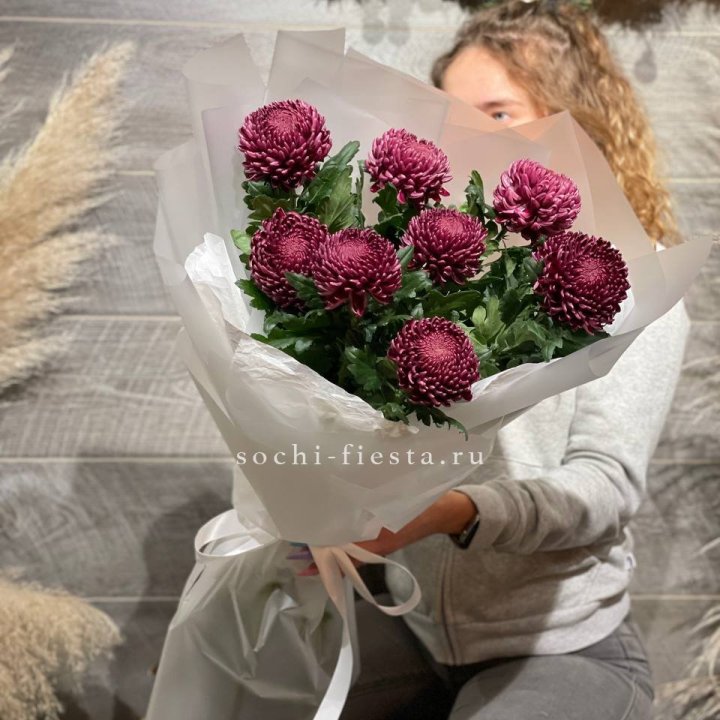 Хризантемы Бигуди в Нижнем Новгороде