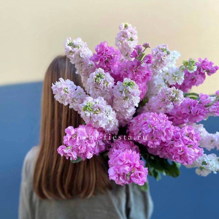 Охапка маттиолы в Нижнем Новгороде