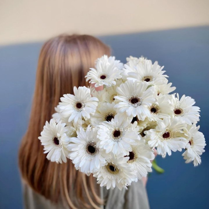Охапка гербер в Нижнем Новгороде