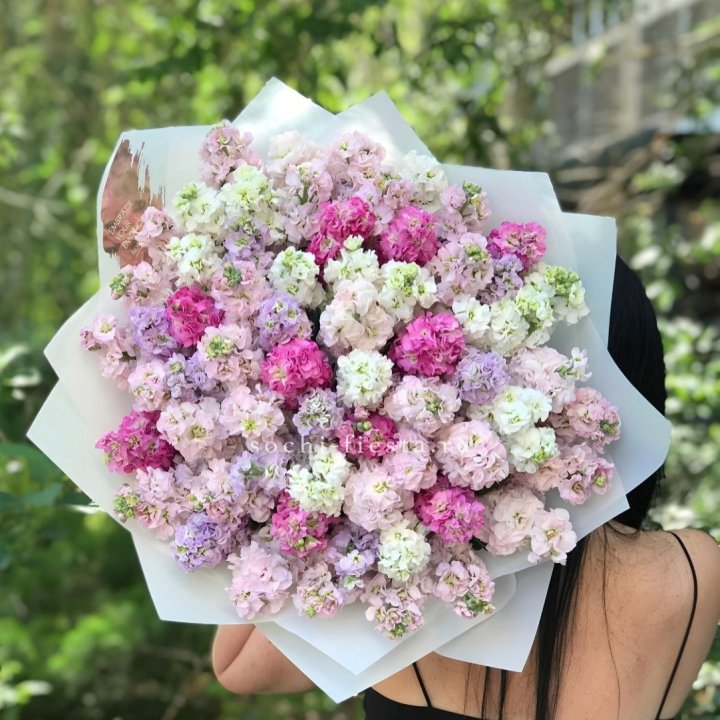 Букет ароматной маттиоллы №3 в Нижнем Новгороде