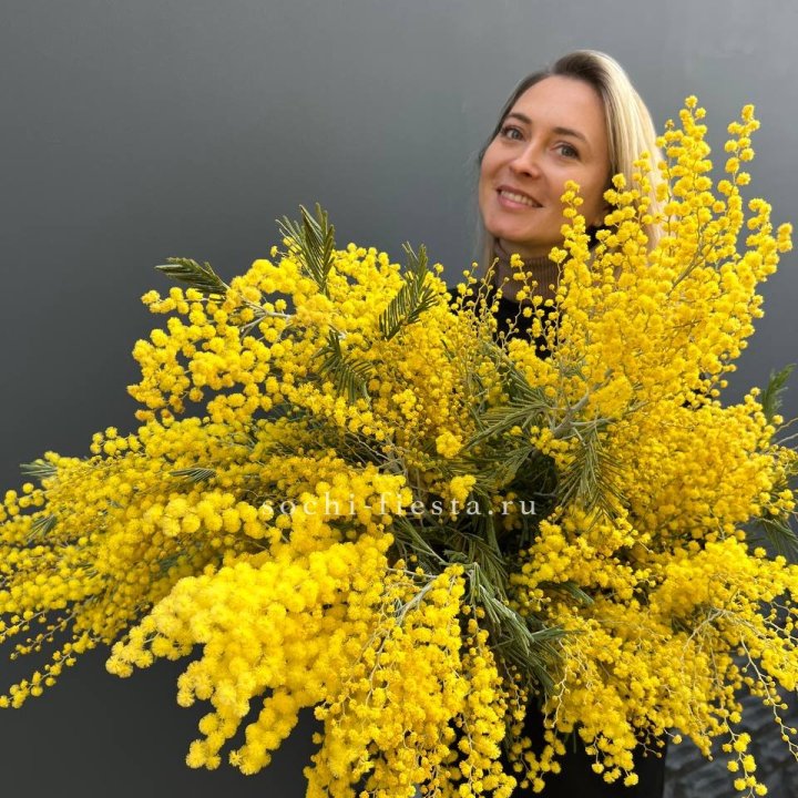 Охапка мимозы №2 в Нижнем Новгороде