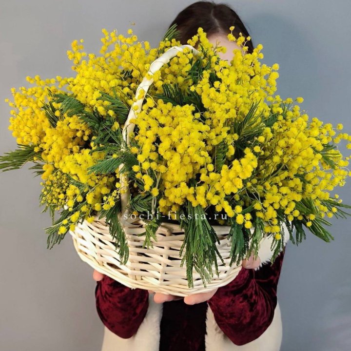 Корзина ароматной мимозы в Нижнем Новгороде