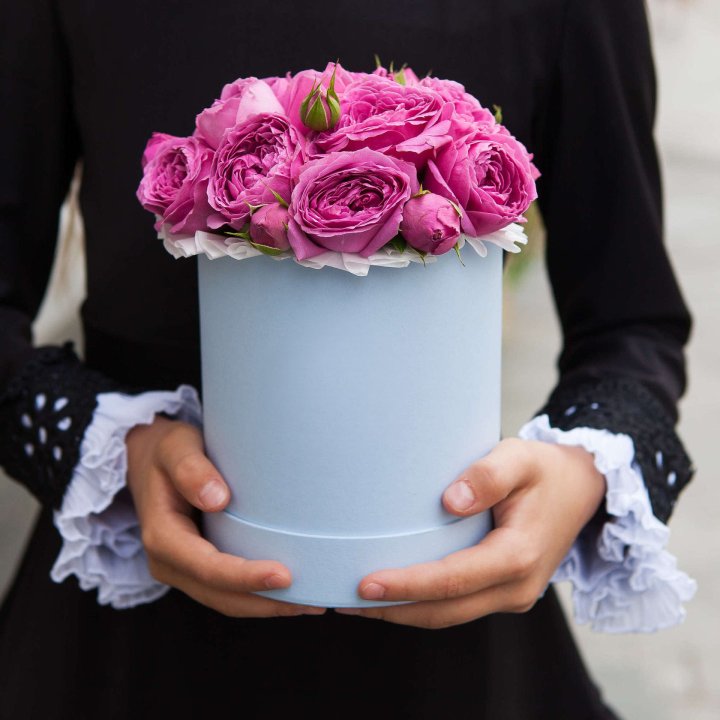 Бокс мини мисти в Нижнем Новгороде