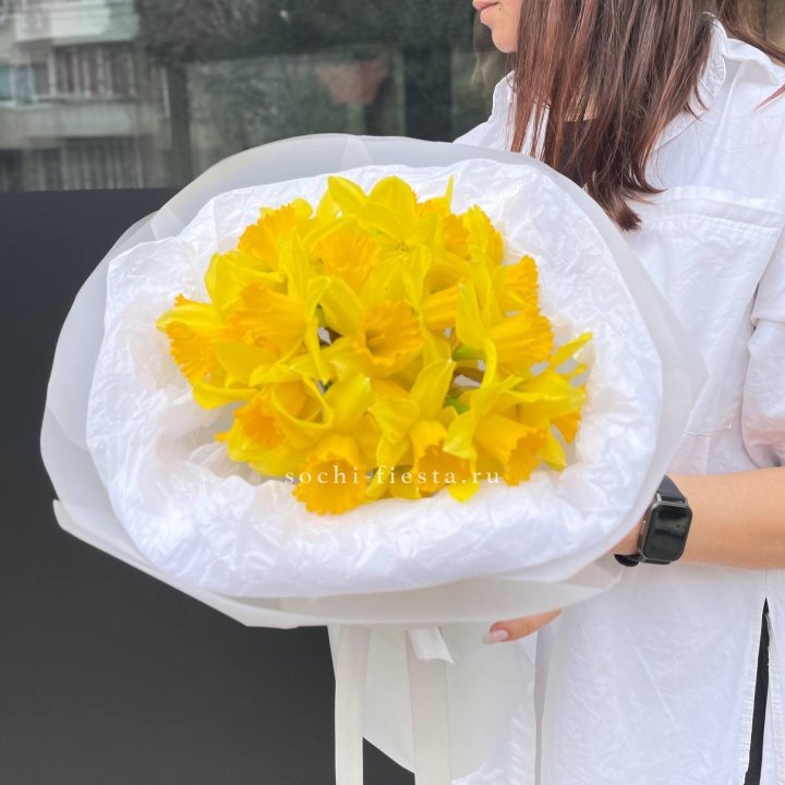 Нарциссы 25 шт в Нижнем Новгороде