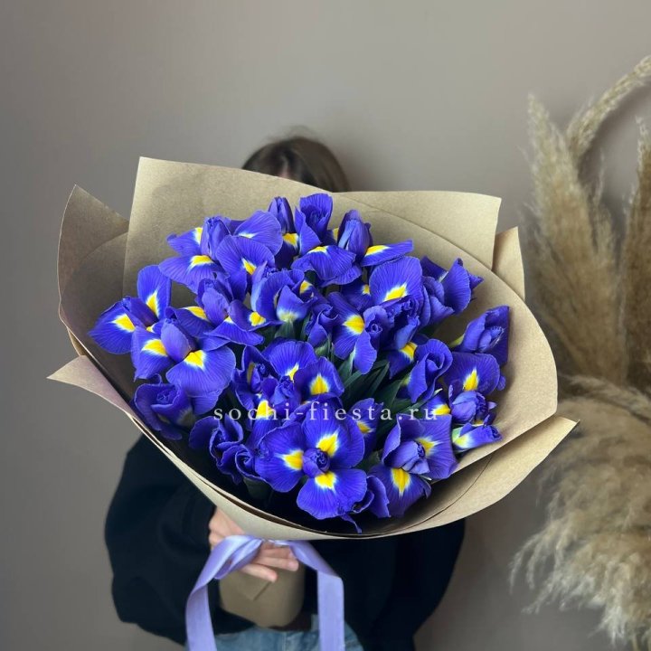 Ирисы в Нижнем Новгороде