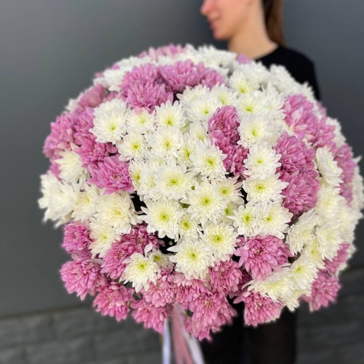  Букет 25 хризантем микс в Нижнем Новгороде