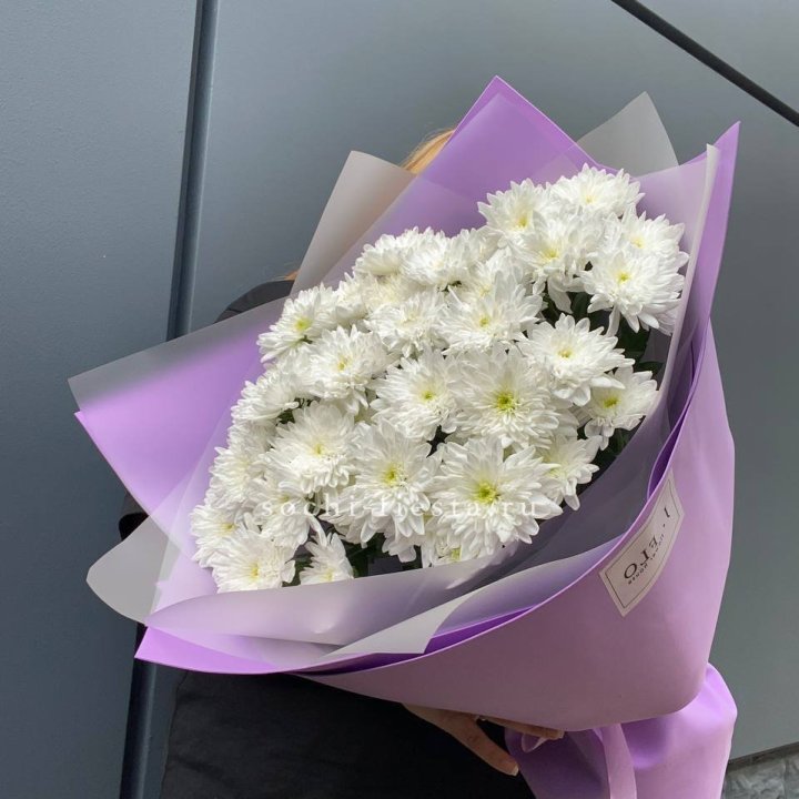  7 хризантем  в Нижнем Новгороде