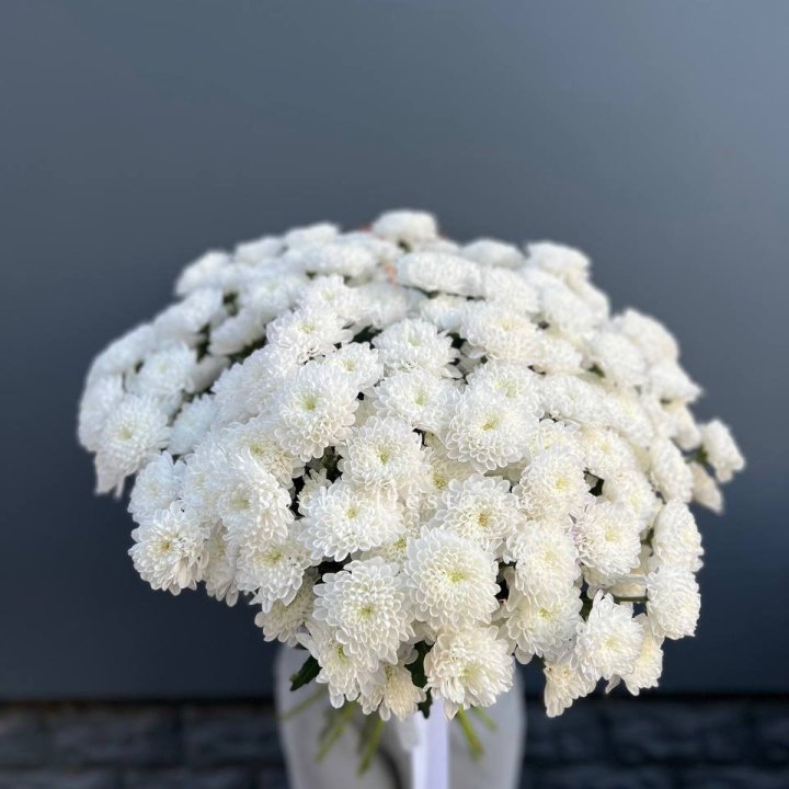  25 хризантем белых в Нижнем Новгороде