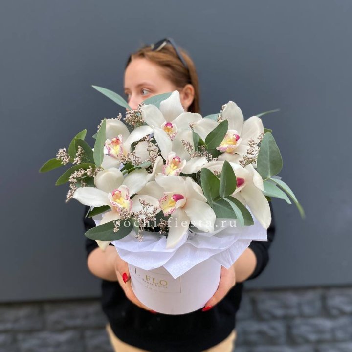 7 орхидей в боксе в Нижнем Новгороде