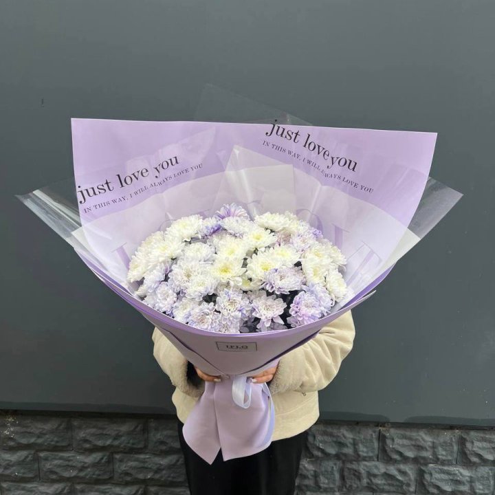 9 воздушных хризантем в Нижнем Новгороде