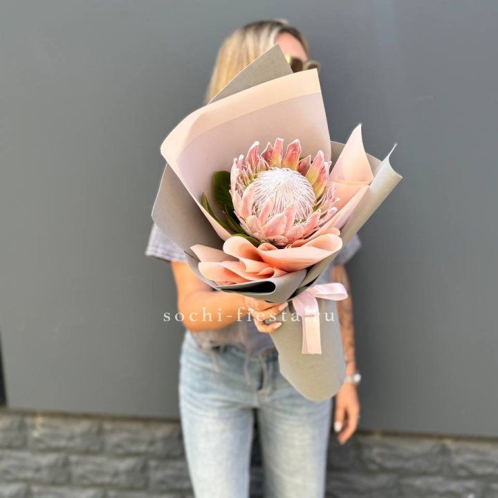 Протея мини  в Нижнем Новгороде