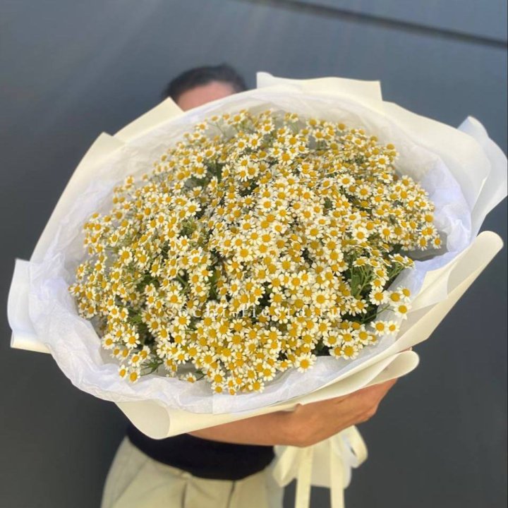 Букет ромашек №2 в Нижнем Новгороде