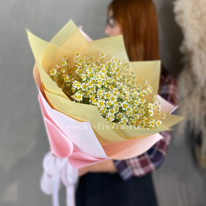 Букет ромашек №3 в Нижнем Новгороде