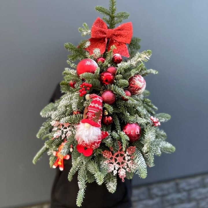 Новогодняя елочка "Ред" в Нижнем Новгороде