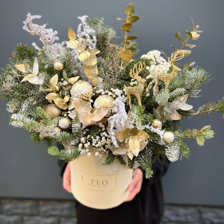 Золотой бокс с нобилисом в Нижнем Новгороде