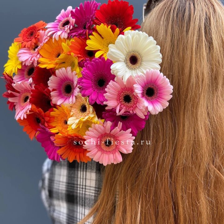 Охапка гербер  в Нижнем Новгороде