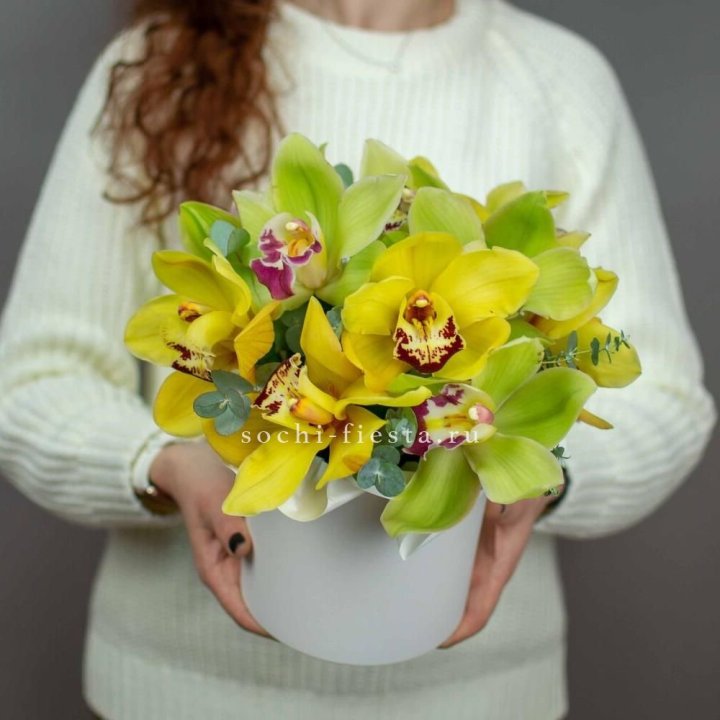 Бокс с орхидей №1 в Нижнем Новгороде