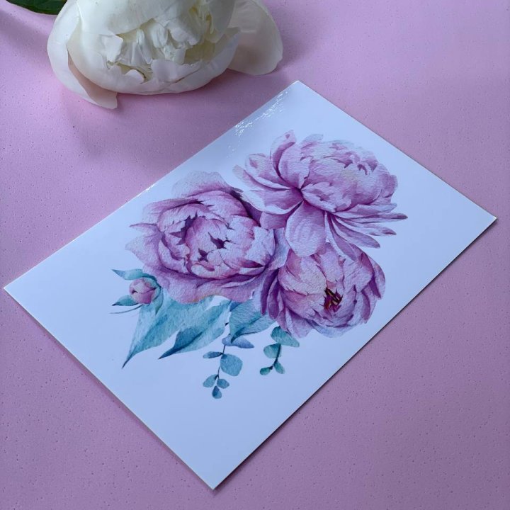 Открытка к букету "Пионы" в Нижнем Новгороде