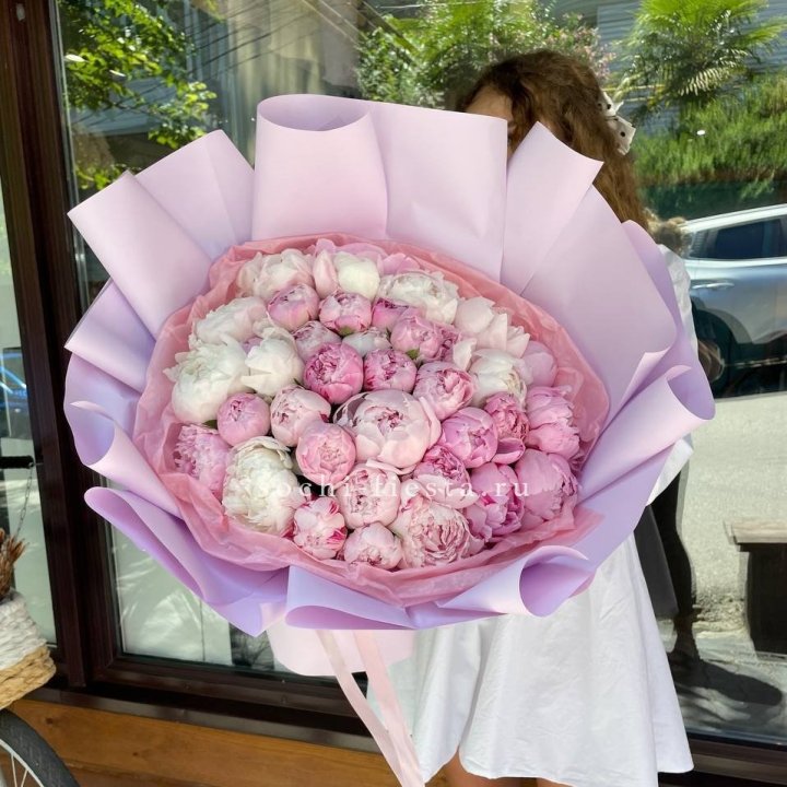 51 розовый пион в Нижнем Новгороде
