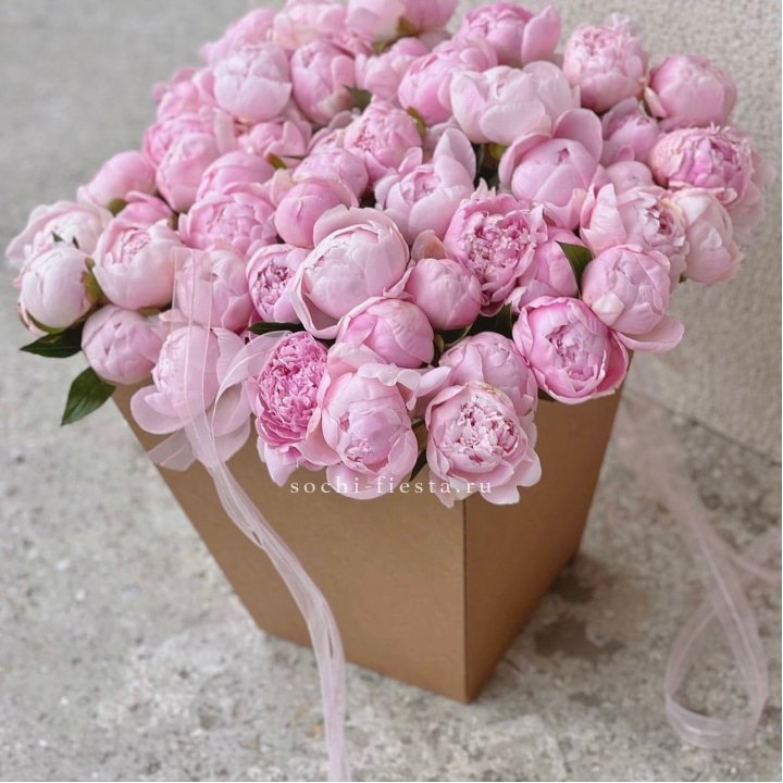 49 пионов в крафт коробке в Нижнем Новгороде