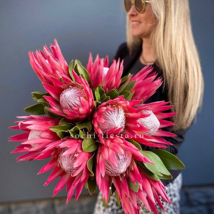 Протея штучно в Нижнем Новгороде