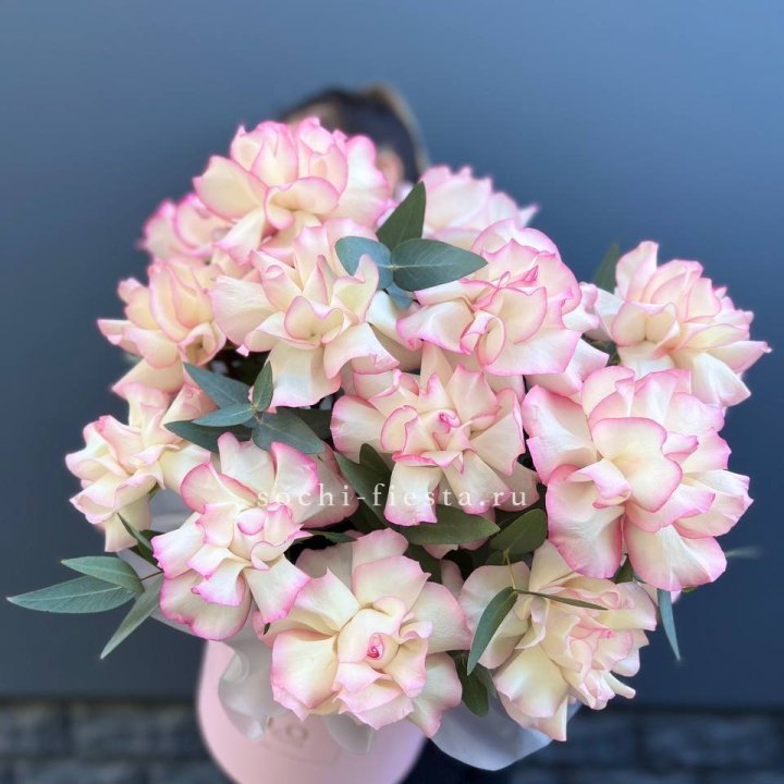 15 Французских роз Джумилия в боксе в Нижнем Новгороде