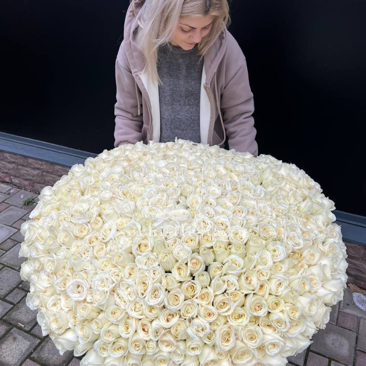 501 белая роза в корзине в Нижнем Новгороде