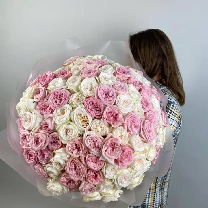 101 роз Охара в Нижнем Новгороде