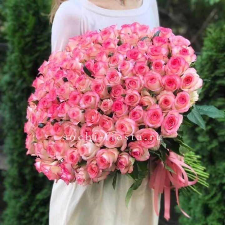 101  джумилия роза  в Нижнем Новгороде