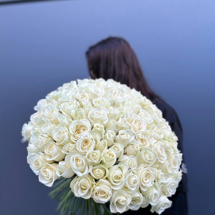 Охапка из 101 белой розы  в Нижнем Новгороде