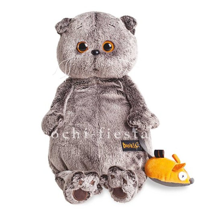 Кот Басик с мышкой в Нижнем Новгороде