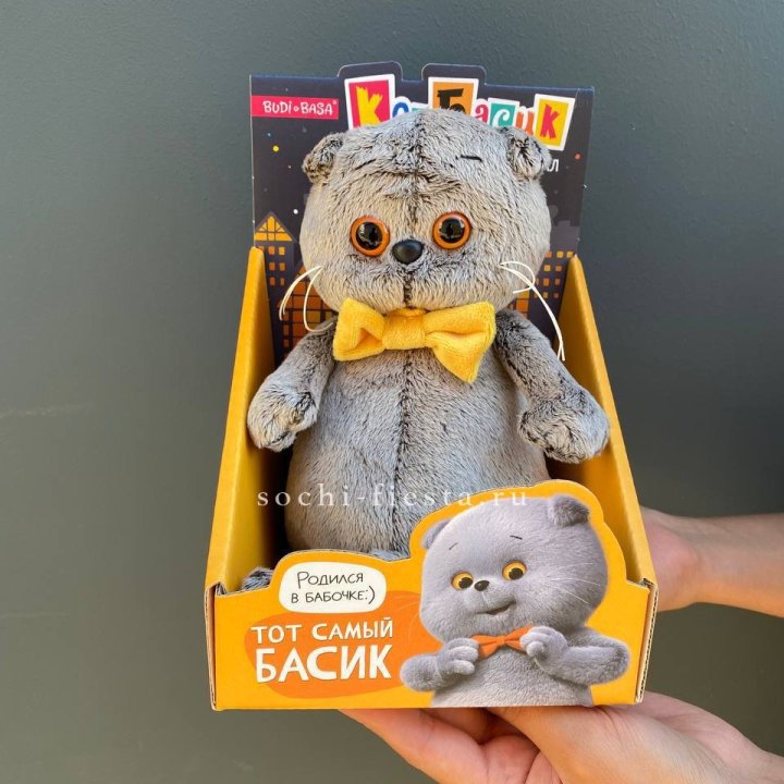 Кот Басик с бабочкой в Нижнем Новгороде