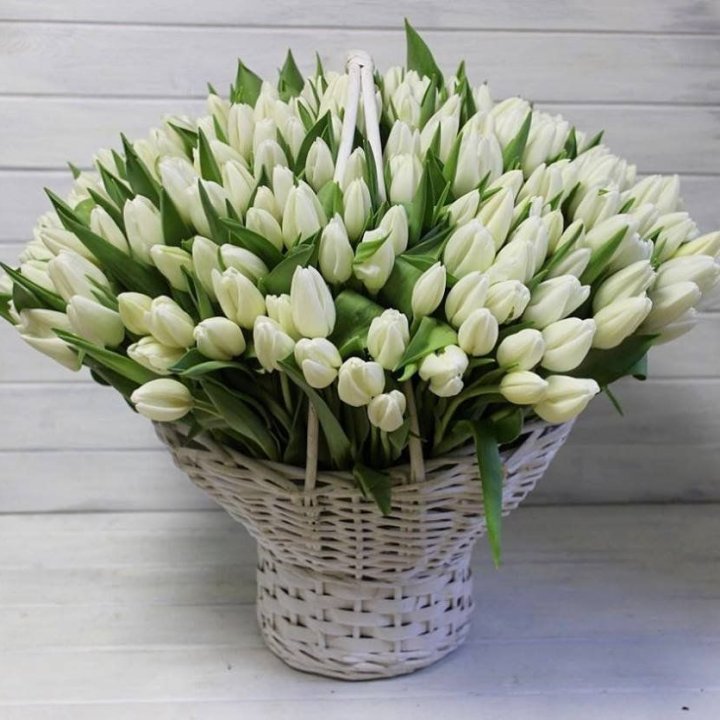 Корзина из 151 тюльпана в Нижнем Новгороде