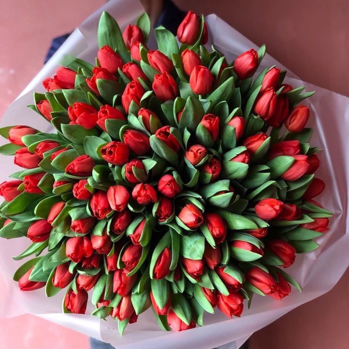 101 красный тюльпан в Нижнем Новгороде