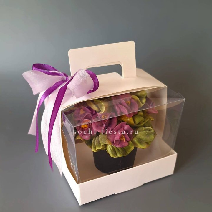  Зефир "Фиалка" в Нижнем Новгороде